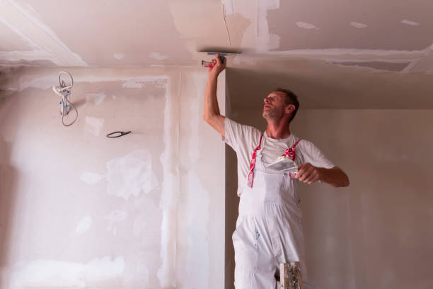 Best Water-Damaged Drywall Repair  in Frankfort, KY