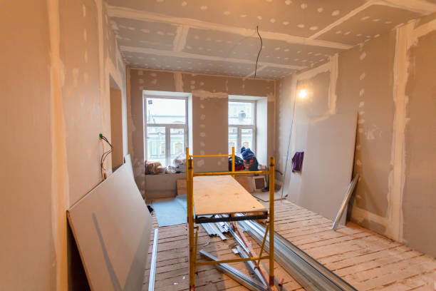 Best Drywall Sanding and Smoothing  in Frankfort, KY